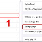 Cách Ẩn Cuộc Gọi Trên iPhone: Hướng Dẫn Chi Tiết Từ Cơ Bản Đến Nâng Cao cách ẩn cuộc gọi trên iPhone