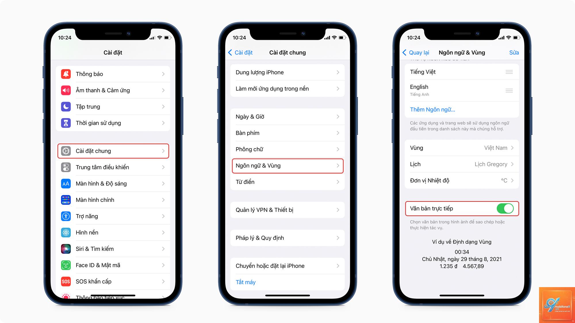 cách bật live text trên iphone - Hình 5