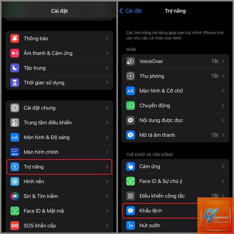 cách bật voice control iphone - Hình 2