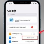 cách cài DNS trên iPhone