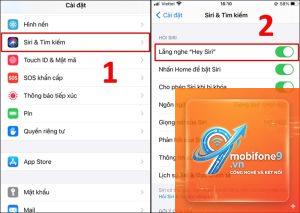 cách cài đặt Siri trên iPhone