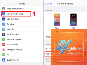 cách cài đặt True Tone trên iPhone