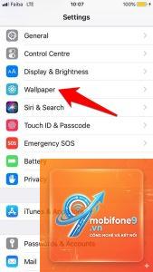 cách cài hình nền động cho iPhone