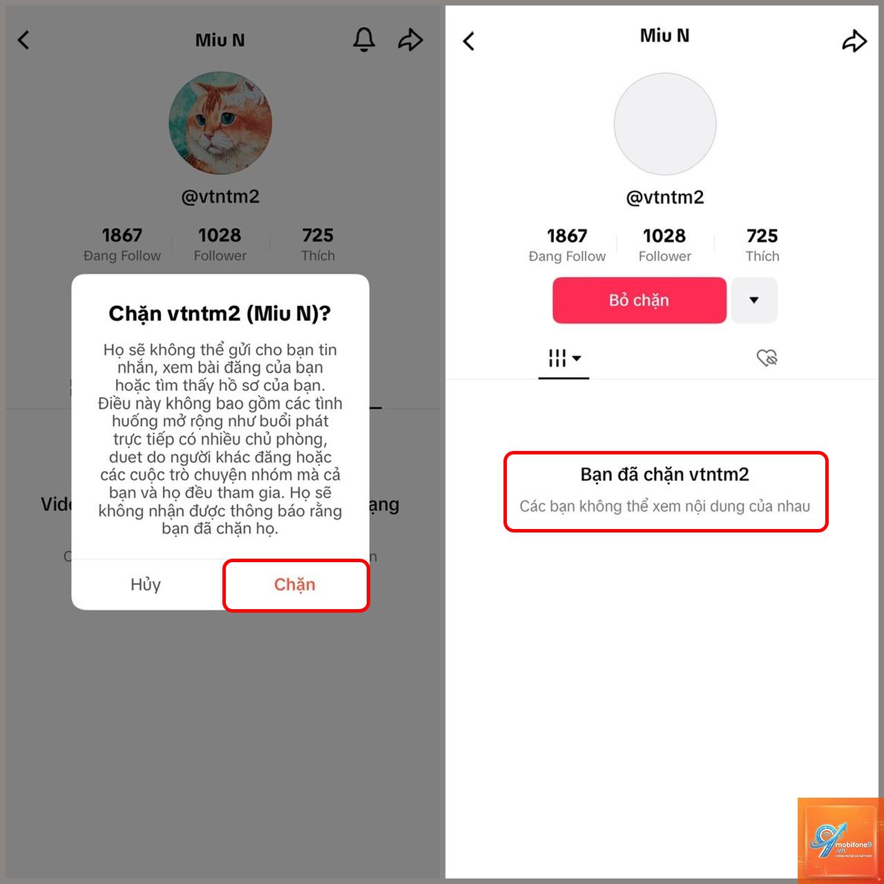 cách chặn người dùng tiktok trên iphone - Hình 3