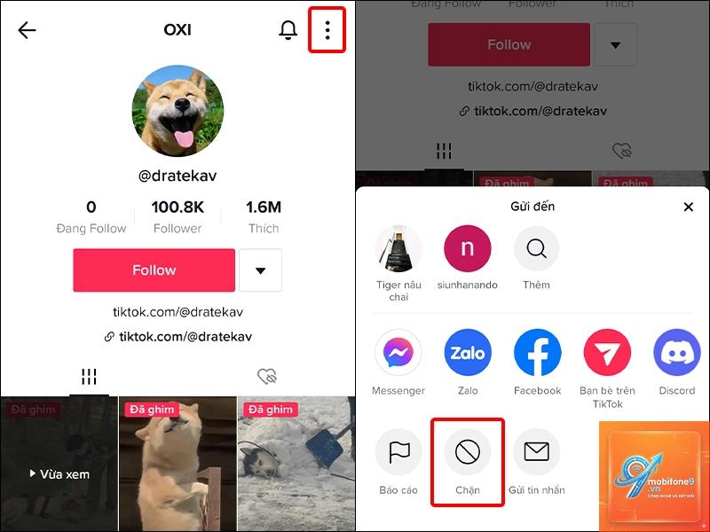 cách chặn người dùng tiktok trên iphone - Hình 4