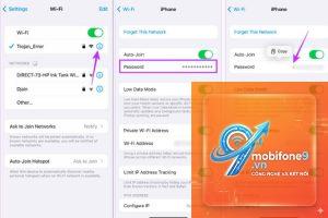 cách chia sẻ mật khẩu trên iphone