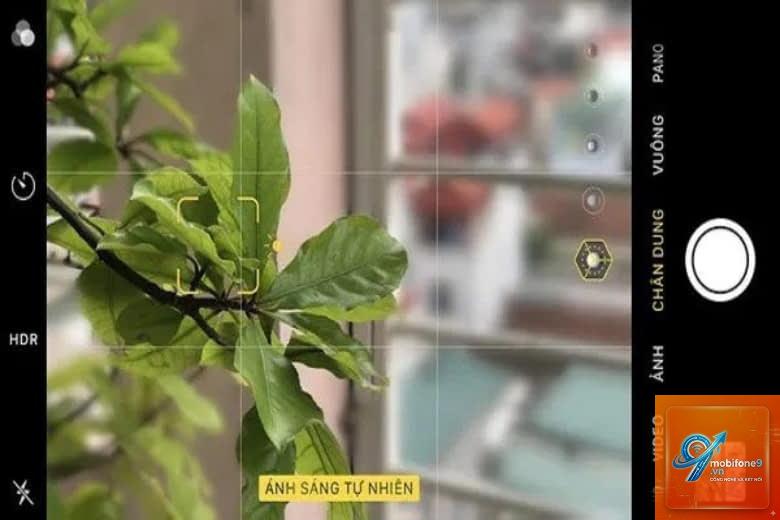 cách chỉnh camera iphone đẹp hơn - Hình 2