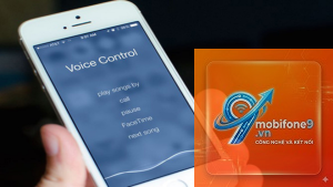 cách chỉnh lệnh voice control iphone
