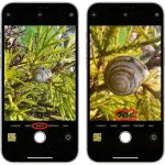 Cách chụp ảnh cận cảnh iPhone sắc nét như nhiếp ảnh gia chuyên nghiệp cách chụp ảnh cận cảnh iphone