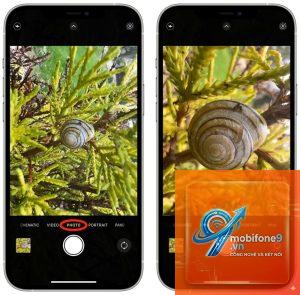 cách chụp ảnh cận cảnh iphone