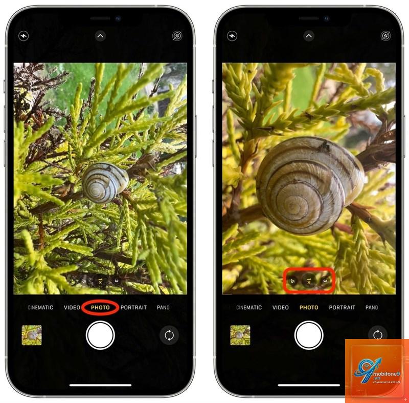 cách chụp ảnh cận cảnh iphone - Hình 1