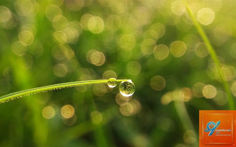 cách chụp ảnh macro trên iphone - Hình 5