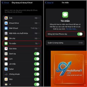 cách chuyển tin nhắn sang iphone mới