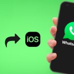 Cách chuyển WhatsApp từ Android sang iPhone đầy đủ và chi tiết nhất 2024 cách chuyển whatsapp từ android sang iphone