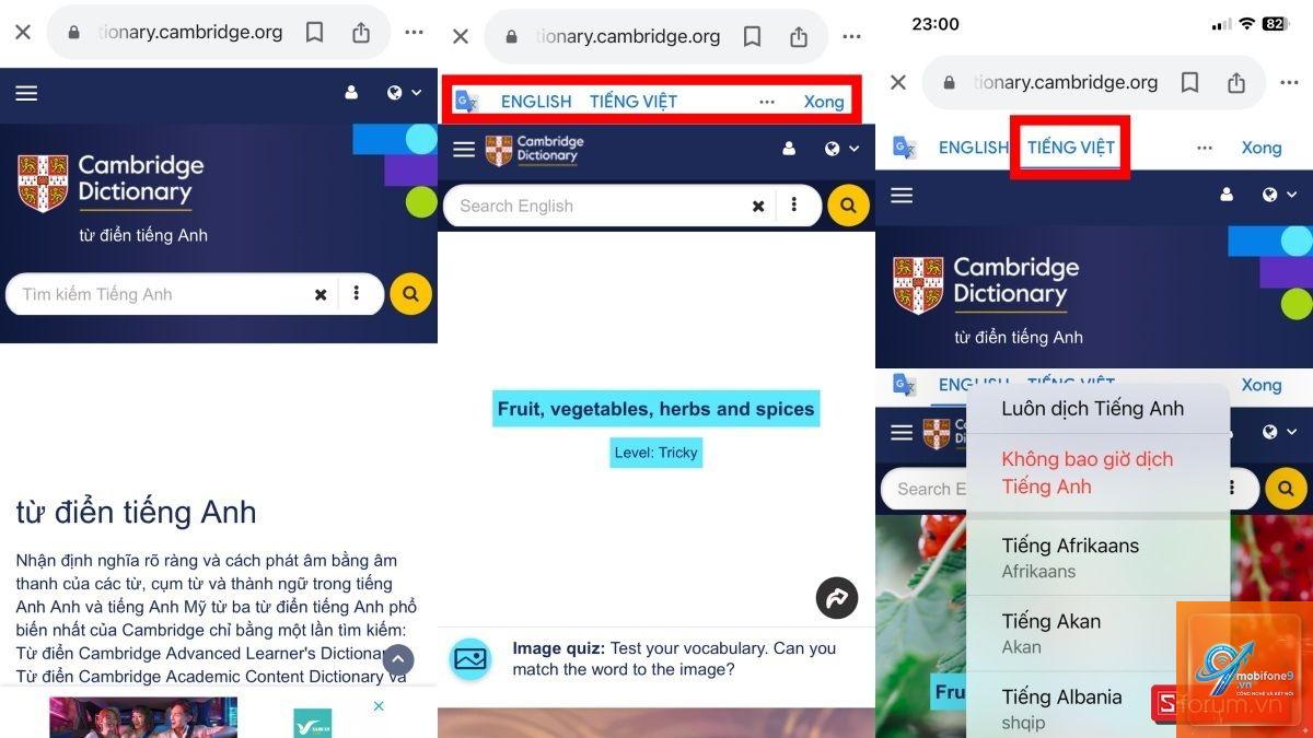 cách dịch trang web trên iphone - Hình 4