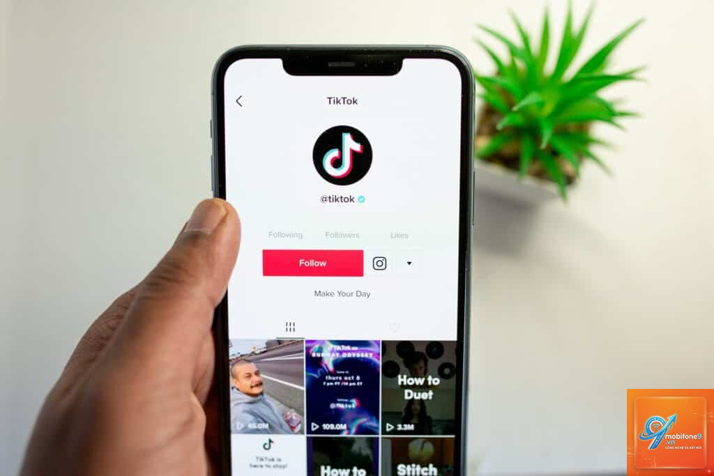 cách đổi ảnh đại diện tiktok trên iphone - Hình 2