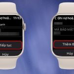 Cách đồng bộ Apple Wallet với Apple Watch nhanh chóng và chi tiết nhất cách đồng bộ apple wallet với apple watch