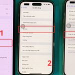 Cách giới hạn namedrop hiệu quả trong mọi tình huống giao tiếp và viết lách cách giới hạn namedrop