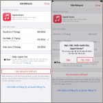 Cách hủy Apple Music chi tiết trên mọi thiết bị: iPhone, Android, Mac và PC cách hủy apple music