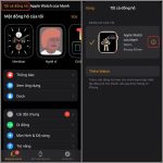 Cách hủy ghép đôi Apple Watch nhanh chóng và an toàn nhất cách hủy ghép đôi apple watch