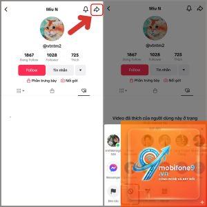 cách khóa TikTok trên iPhone