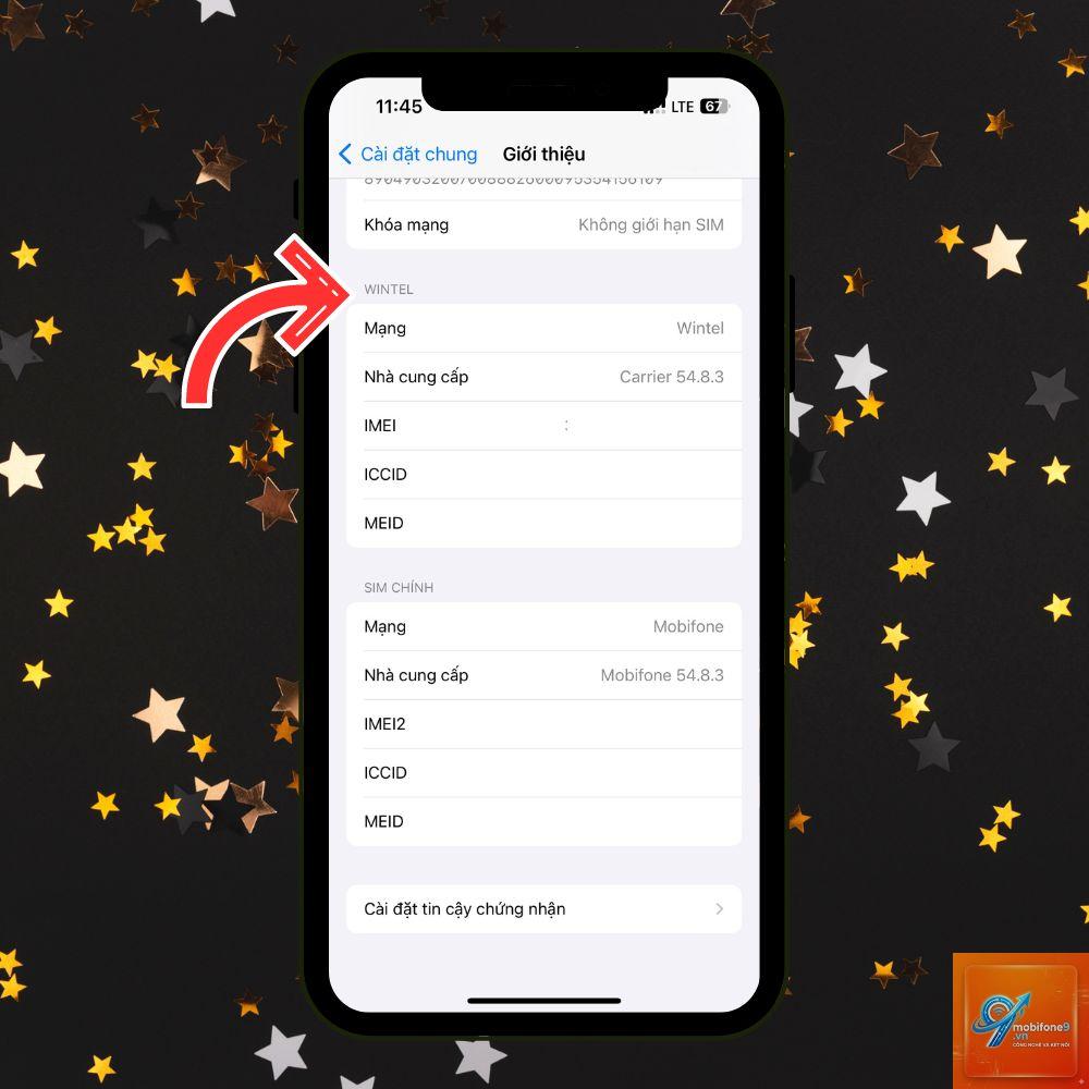 cách kiểm tra eSIM iPhone - Hình 2