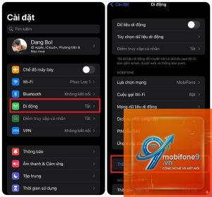 cách kiểm tra esim trên iphone