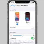 cách kiểm tra iPhone bị lỗi True Tone