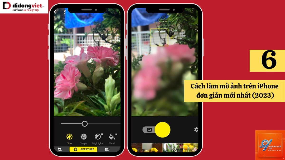 cách làm mờ nền ảnh iphone - Hình 3
