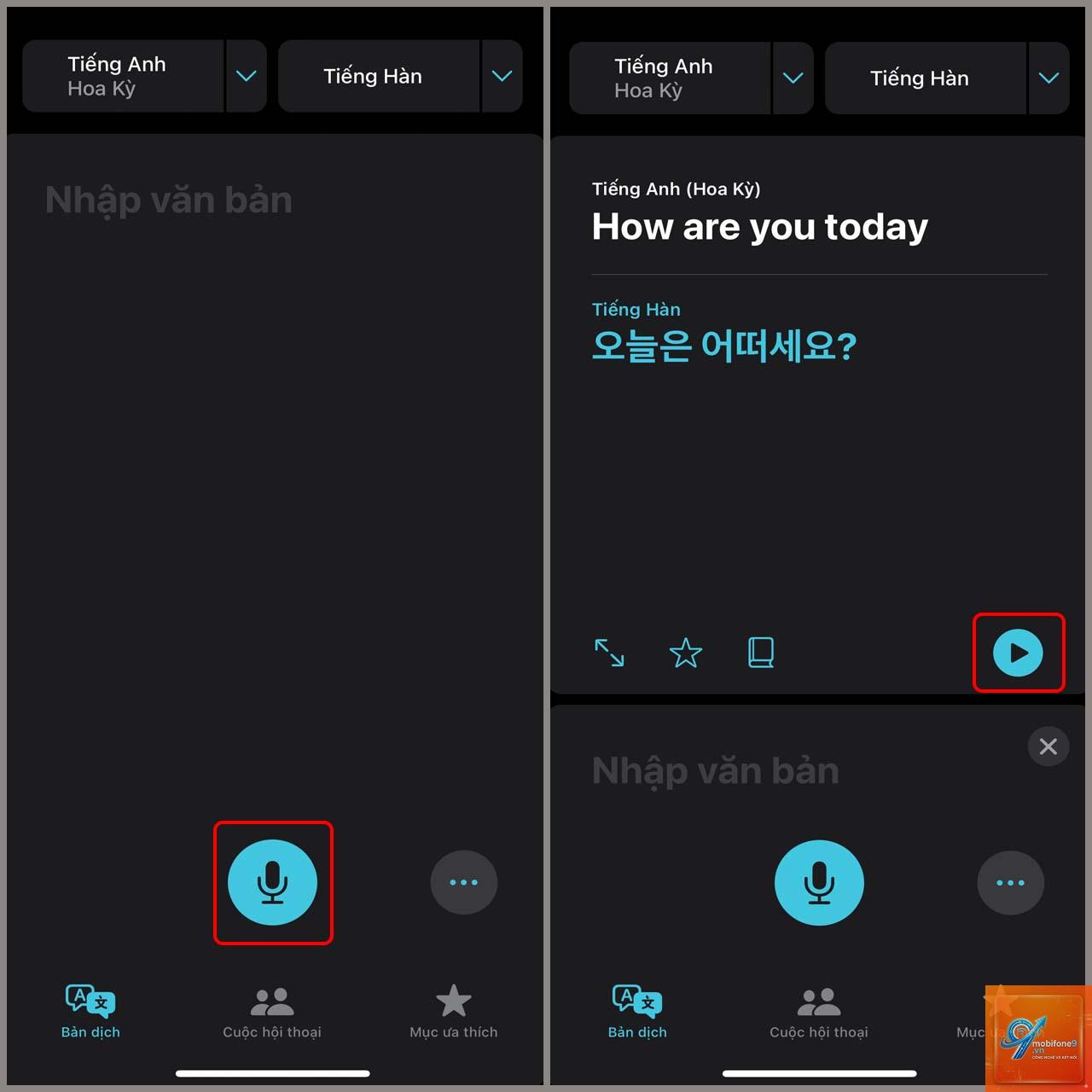 cách lưu bản dịch iphone - Hình 5