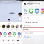 Cách lưu video TikTok không logo trên iPhone chi tiết và hiệu quả nhất cách lưu video tiktok không logo trên iphone
