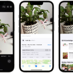 Cách nhận diện cây cối bằng iPhone: Hướng dẫn chi tiết từ A đến Z cho người yêu thiên nhiên cách nhận diện cây cối bằng iphone