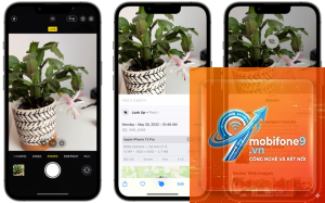 cách nhận diện cây cối bằng iphone