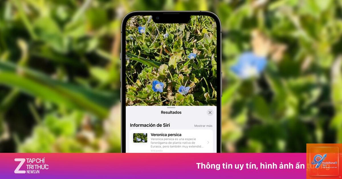 cách nhận diện cây cối bằng iphone - Hình 3
