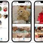 Cách nhận diện động vật bằng iPhone: Hướng dẫn chi tiết từ A đến Z cho người mới bắt đầu cách nhận diện động vật bằng iphone