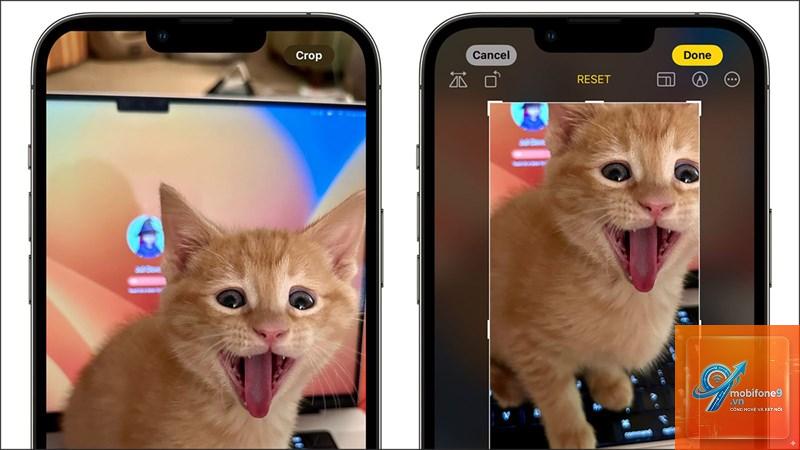 cách nhận diện động vật bằng iphone - Hình 2