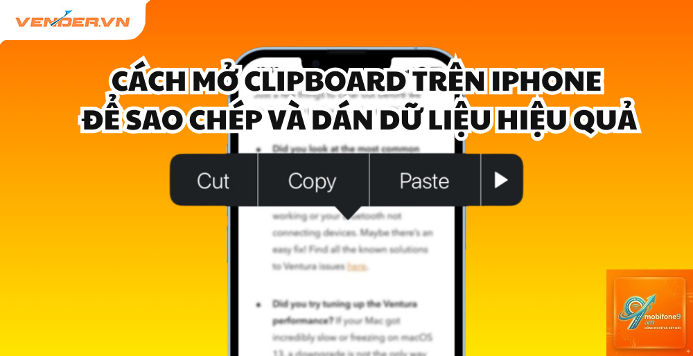 cách quản lý clipboard iphone - Hình 5