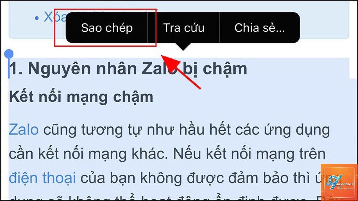 cách sao chép chữ từ ảnh iphone - Hình 4