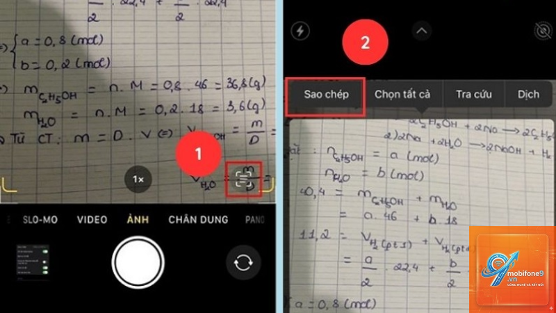 cách sao chép chữ từ ảnh iphone - Hình 5