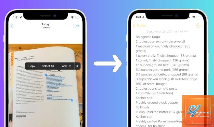 cách sao chép nhiều nội dung iphone - Hình 3