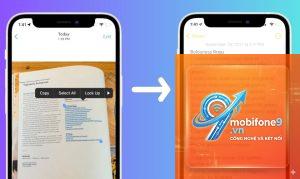 cách sao chép văn bản từ ảnh iphone