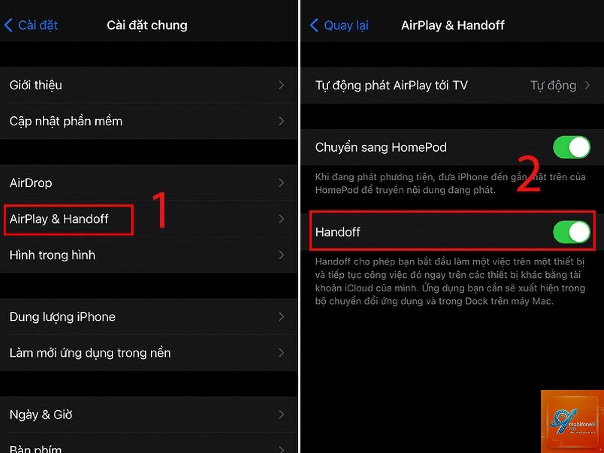 cách sao chép văn bản từ ảnh iphone - Hình 5