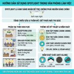Cách sử dụng spotlight hiệu quả: Bí quyết tối ưu hóa công cụ tìm kiếm trên iPhone và Mac cách sử dụng spotlight hiệu quả