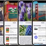 Cách sử dụng Visual Lookup iPhone: Hướng dẫn chi tiết từ A đến Z cho người mới bắt đầu cách sử dụng visual lookup iphone