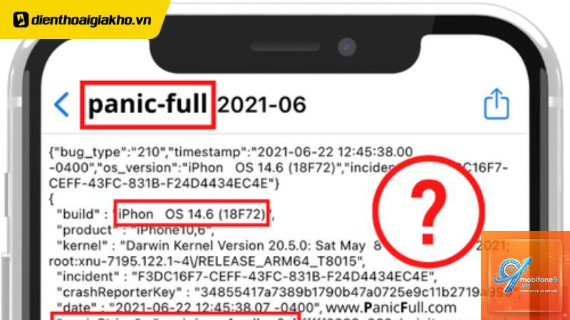cách sửa iPhone bị lỗi kernel panic - Hình 3