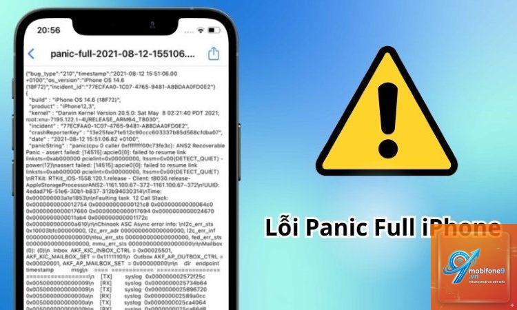 cách sửa iPhone bị panic full - Hình 2