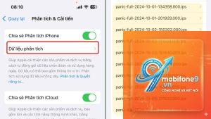 cách sửa iPhone bị panic full
