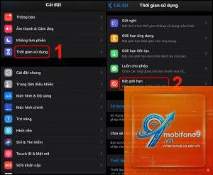 cách sửa iPhone không mở được Safari