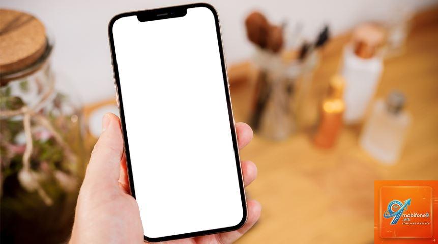 cách sửa iPhone màn hình trắng - Hình 2