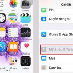 cách tải ứng dụng từ app store
